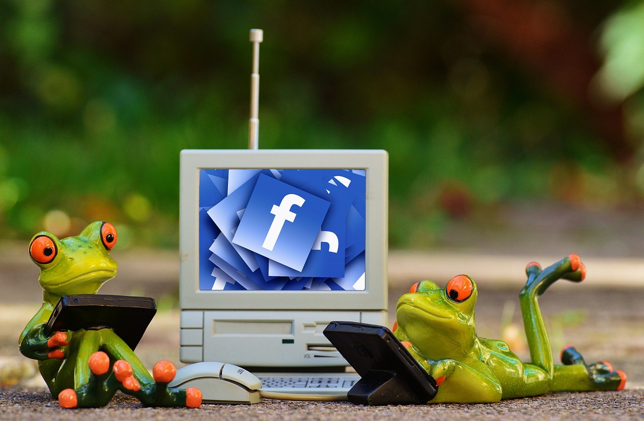 frogs, computer, facebook-1037853.jpg